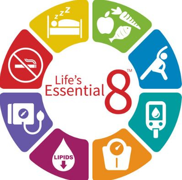 Slider image (3) Dr. Dagim Leykuns - Vascular Practice